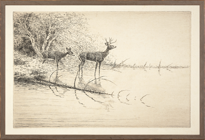 21585 Northern Collection Art- White Tails in the Morning